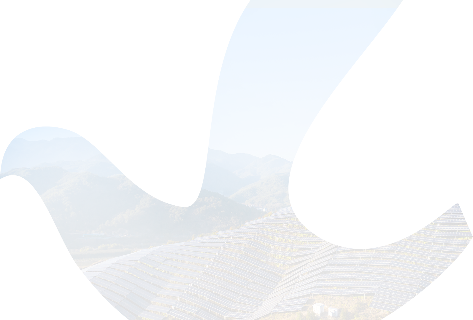 ng28.com